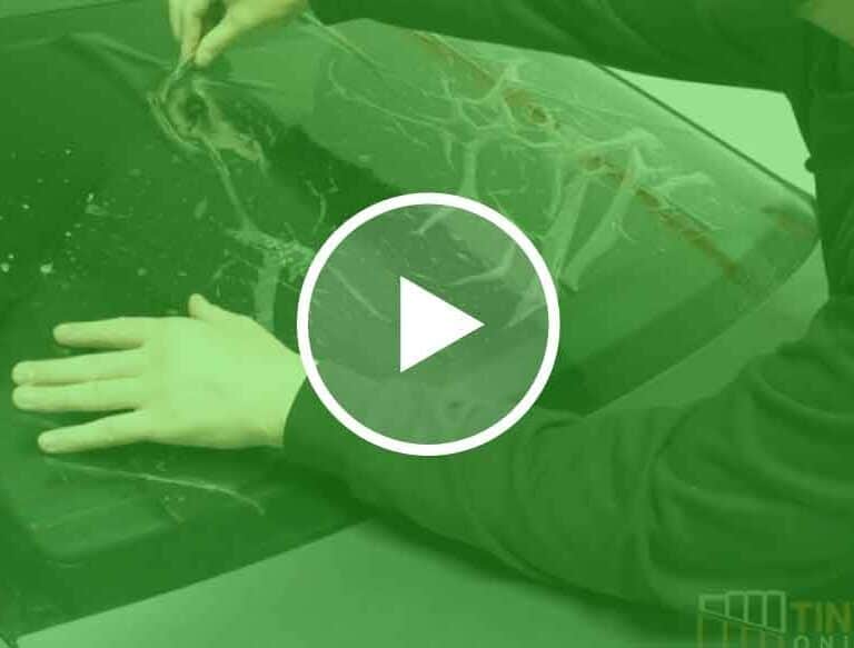 advanced window tinting courses (2)